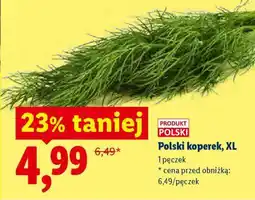 Lidl Polski koperek, XL oferta