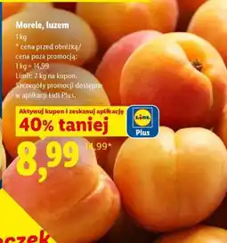 Lidl Morele luzem oferta
