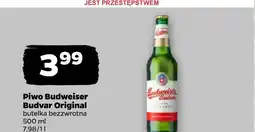 Netto Piwo Budweiser oferta