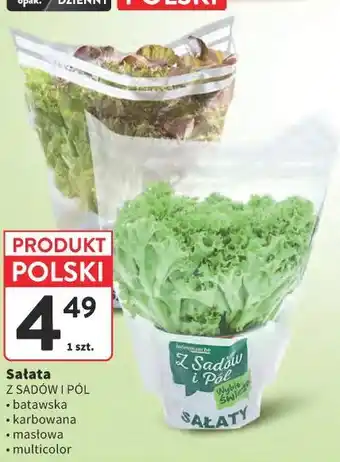 Intermarche Sałata Z SADÓW I PÓL oferta