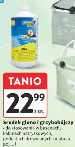 Intermarche Środek glono i grzybobójczy Alba oferta