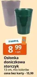 E.Leclerc Osłonka doniczkowa storczyk oferta