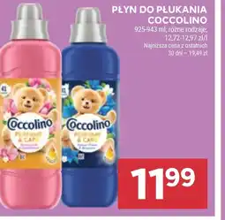 Stokrotka Market Płyn do płukania Coccolino oferta