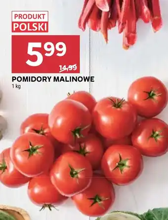 Stokrotka Pomidory Polski oferta