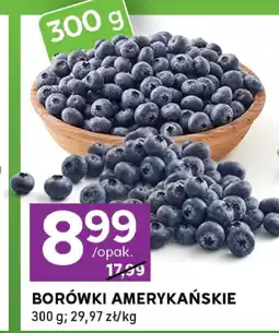 Stokrotka Express Borówki amerykańskie oferta