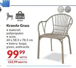Makro Krzesło Grass oferta