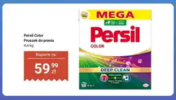 Dino Proszek do prania Persil Color oferta
