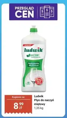 Dino Płyn do naczyń Ludwik miętowy oferta