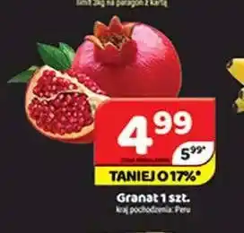 Delfin Granat oferta