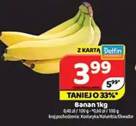 Delfin Banan oferta