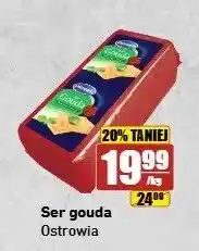 Ser gouda Ostrowia