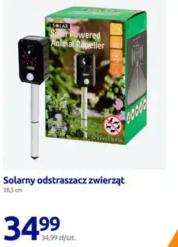 Action Solarny odstraszacz zwierząt 38,5 cm oferta