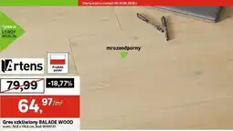 Leroy Merlin Artens Gres szkliwiony BALADE WOOD oferta