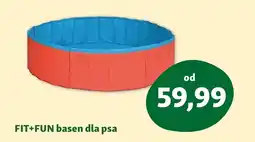 Maxi Zoo Basen dla psów Fit+Fun oferta