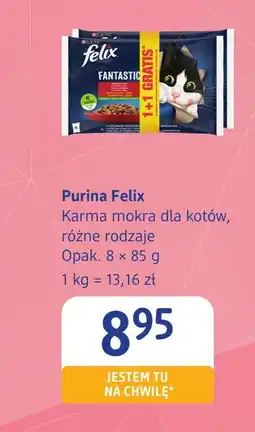dm drogerie markt Mokra karma dla kota Purina oferta