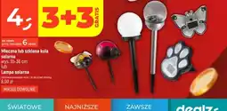 Dealz Lampa solarna Mleczna Polana oferta
