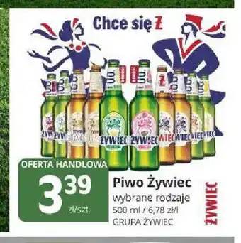 Marketvita Piwo Żywiec oferta
