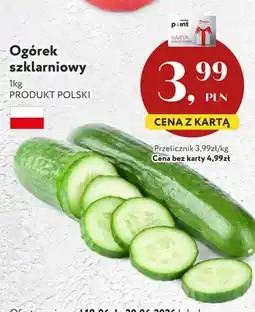 Market Point Ogórek szklarniowy polski oferta