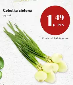 Market Point Cebulka zielona oferta