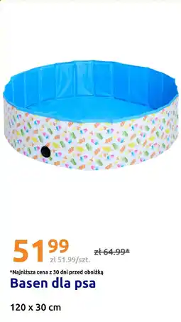 Action Basen dla psa oferta