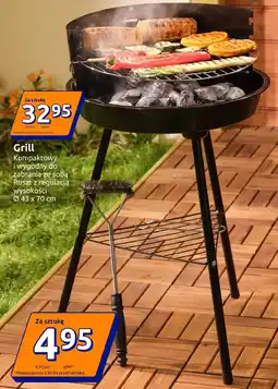Action Grill oferta
