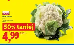 Lidl Polski kalafior oferta