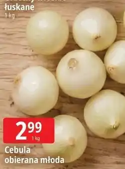 E.Leclerc Cebula obierana młoda oferta