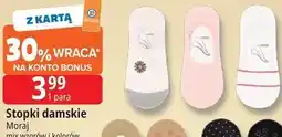 E.Leclerc Stopki damskie Moraj oferta