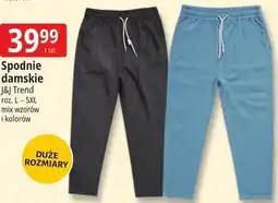 E.Leclerc Spodnie damskie J&J Trend oferta
