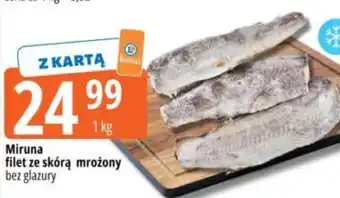 E.Leclerc Miruna filet ze skórą mrożony oferta