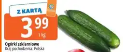E.Leclerc Ogórki szklarniowe oferta