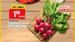 Polomarket Rzodkiewki oferta