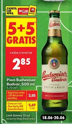 Biedronka Piwo Budweiser Budvar oferta