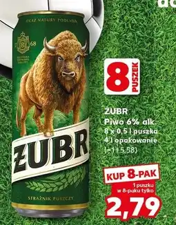 Kaufland Piwo Żubr 8-pak oferta