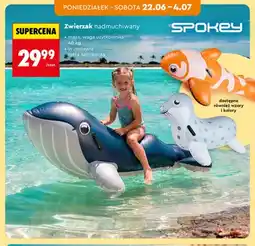 Biedronka Zwierzak nadmuchiwany Spokey oferta