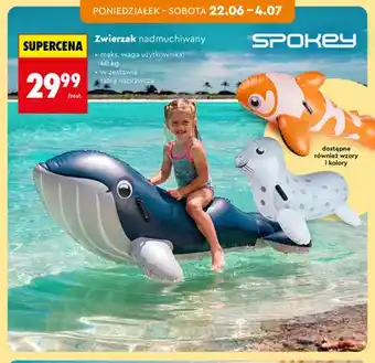 Zwierzak nadmuchiwany Spokey