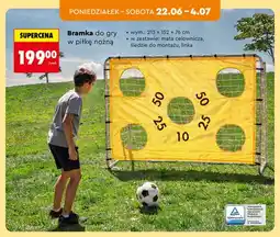 Biedronka Bramka do gry w piłkę nożną oferta