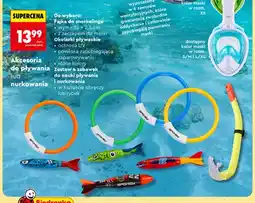 Biedronka Fajka do snorkelingu Spokey oferta