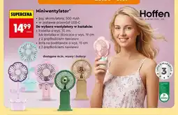 Biedronka Miniwentylator kwiatek Hoffen oferta