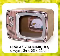 Biedronka Drapak z kocimiętką Activ Pet oferta