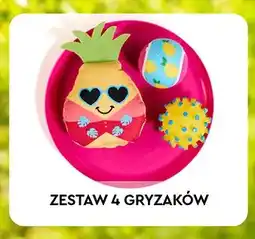 Biedronka Zestaw 4 gryzaków dla pupila Activ Pet oferta