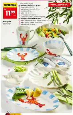 Biedronka Kubek Florina oferta