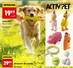 Biedronka Zabawka piłeczka dla pupila Activ Pet oferta