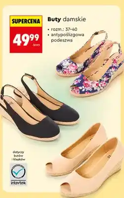 Biedronka Buty damskie CLEVÉ oferta