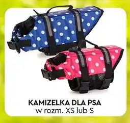 Biedronka Kamizelka dla psa Activ Pet oferta