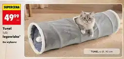 Biedronka Tunel dla kota Activ Pet oferta