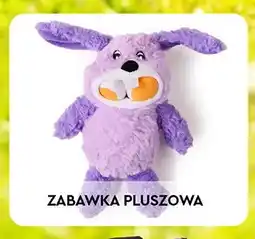 Biedronka Zabawka pluszowa dla pupila Activ Pet oferta