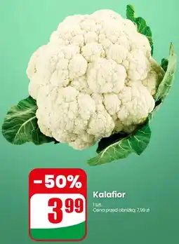 Dino Kalafior oferta