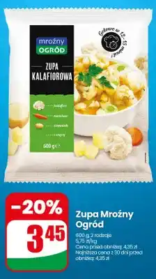 Dino Zupa kalafiorowa Mroźny Ogród oferta