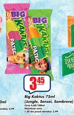 Sezamek Big Kaktus oferta